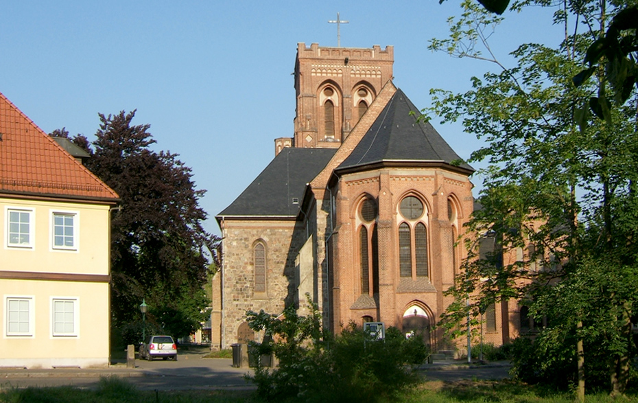 Foto: Rotbuche zwischen Kirche und Praxis