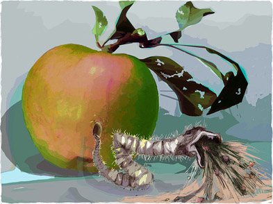 Kunstwerk: Apfel mit Wurm