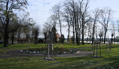 Foto: Rondell im Hugenottenpark mit neugepflanzten Bäumen
