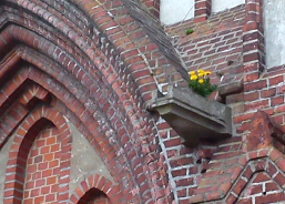Foto: Löwenzahl am Kirchportal