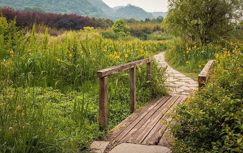 Foto: Brücke im Frühling