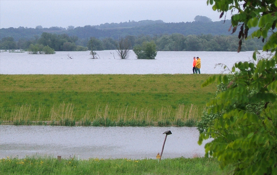 Foto: geflutetes Poldergebiet