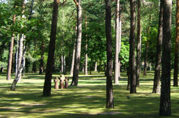 Foto: Waldfriedhof