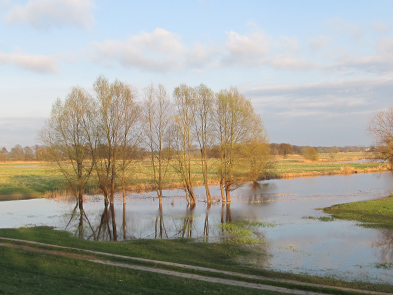 Foto: geflutete Flussaue im Frühjahr