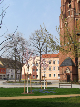 Foto: Kirchplatz im Frühling