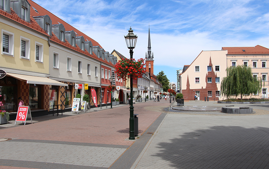 Weide auf dem Kirchplatz