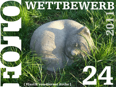 Foto mit einer Katze aus Beton im Gras und Text: Fotowettbewerb 24 [Plastik von Werner Kothe]
