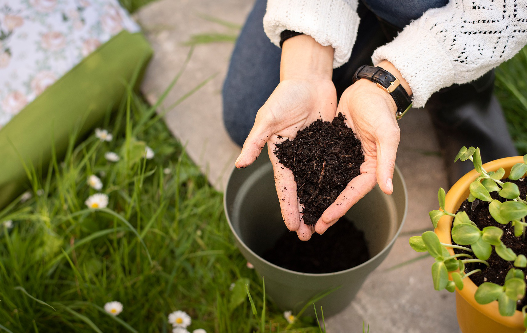Foto: Frauenhände halten Blumenerde über einen Topf