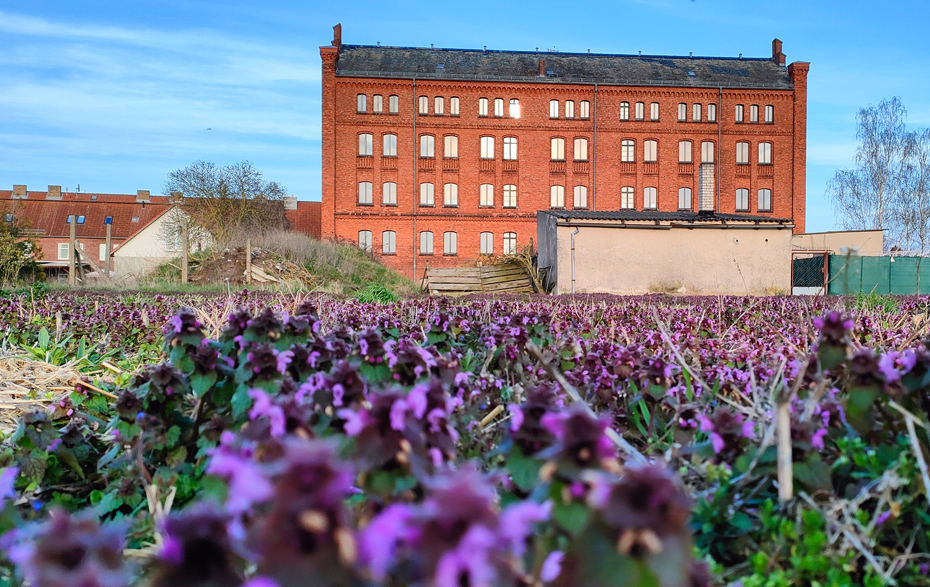 Foto: rote Backsteingebäude