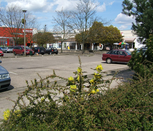 Foto: Parkplatz vor der Rekonstruktion