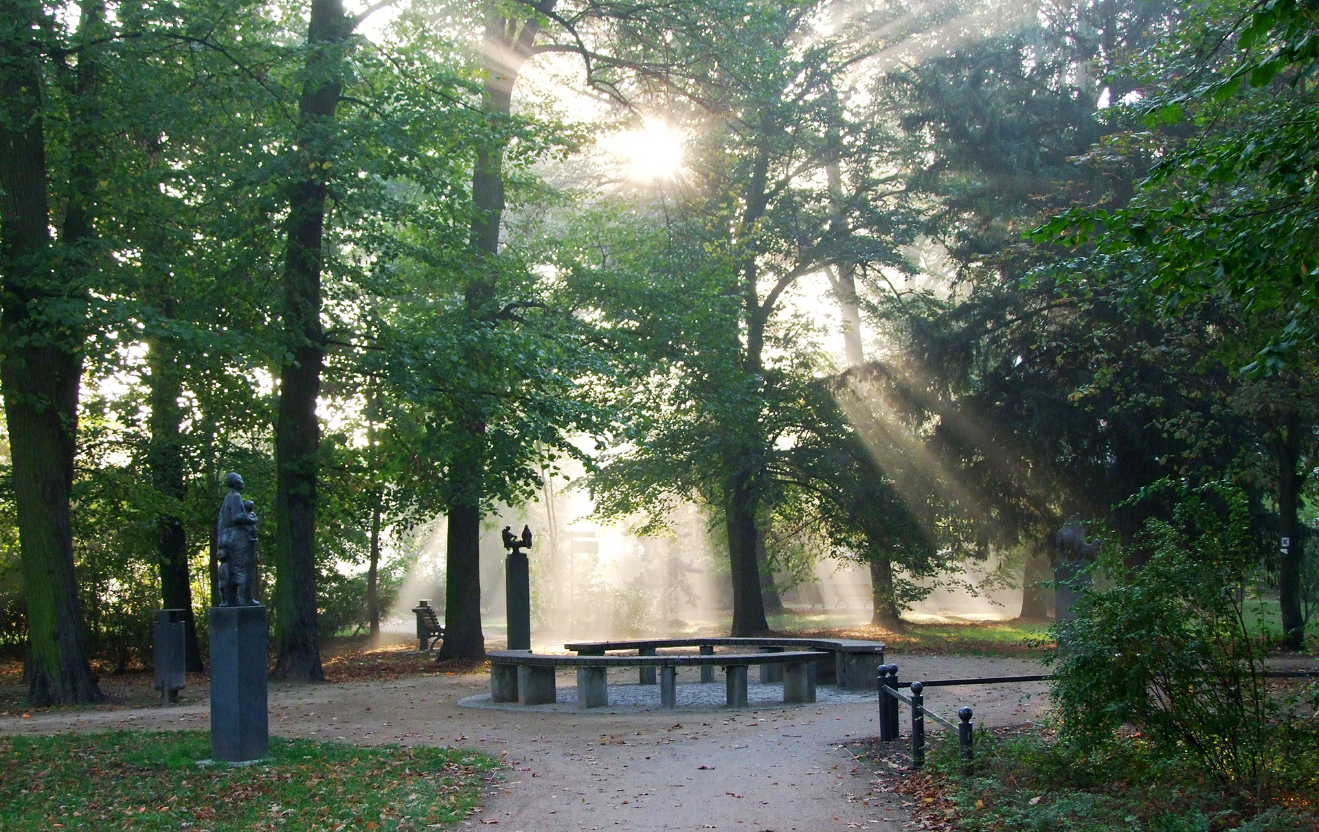 Foto: Blick in den Stadtpark mit durchscheinender Sonne Foto: Blick in den Stadtpark mit durchscheinender Sonne