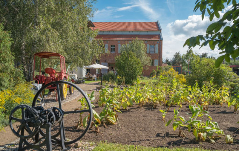 Im Vordergrung ist eine schwarze Seilwinde aus Metal. Hinten ist ein Roter Traktor und ganz hinten das Tabakmuseum. Rechts ist ein Schaubeet mit grünen Tabakpflanzen. 