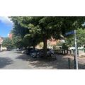 Foto: Nach Paul Meyer benannte Straße 
