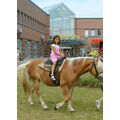 Foto: Mädchen auf einem Pony