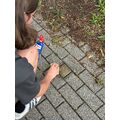 Foto: Putzen des Stolpersteins von Jacks von einem Schüler