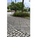 Foto: Stolpersteine der Familie Rosner mit Umgebung