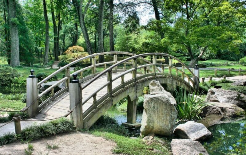 Foto: Brücke im Wald