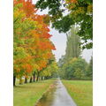 Foto vom 6. Oktober 2012: regennasser Weg parallel zu herbstlich gefärbter Baumreihe