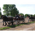 Foto: Die Kutschen fahren zu dem Gelände des Reitclubs.