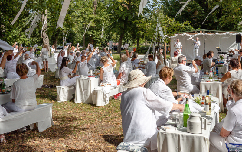 Foto: Picknick in Weiß im Park