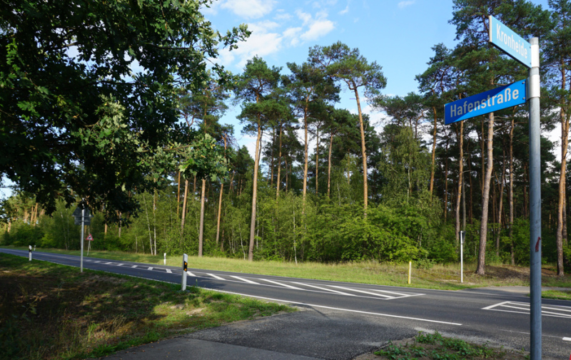 Foto: Straße mit Straßenschild und Kiefern