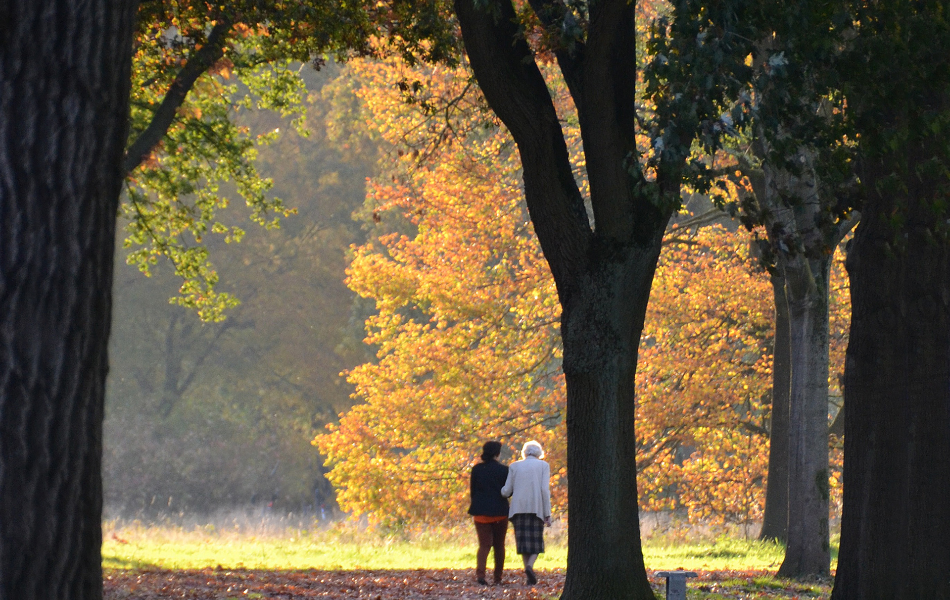 Foto: 2 Spaziergängerinen im herbstlichen Park