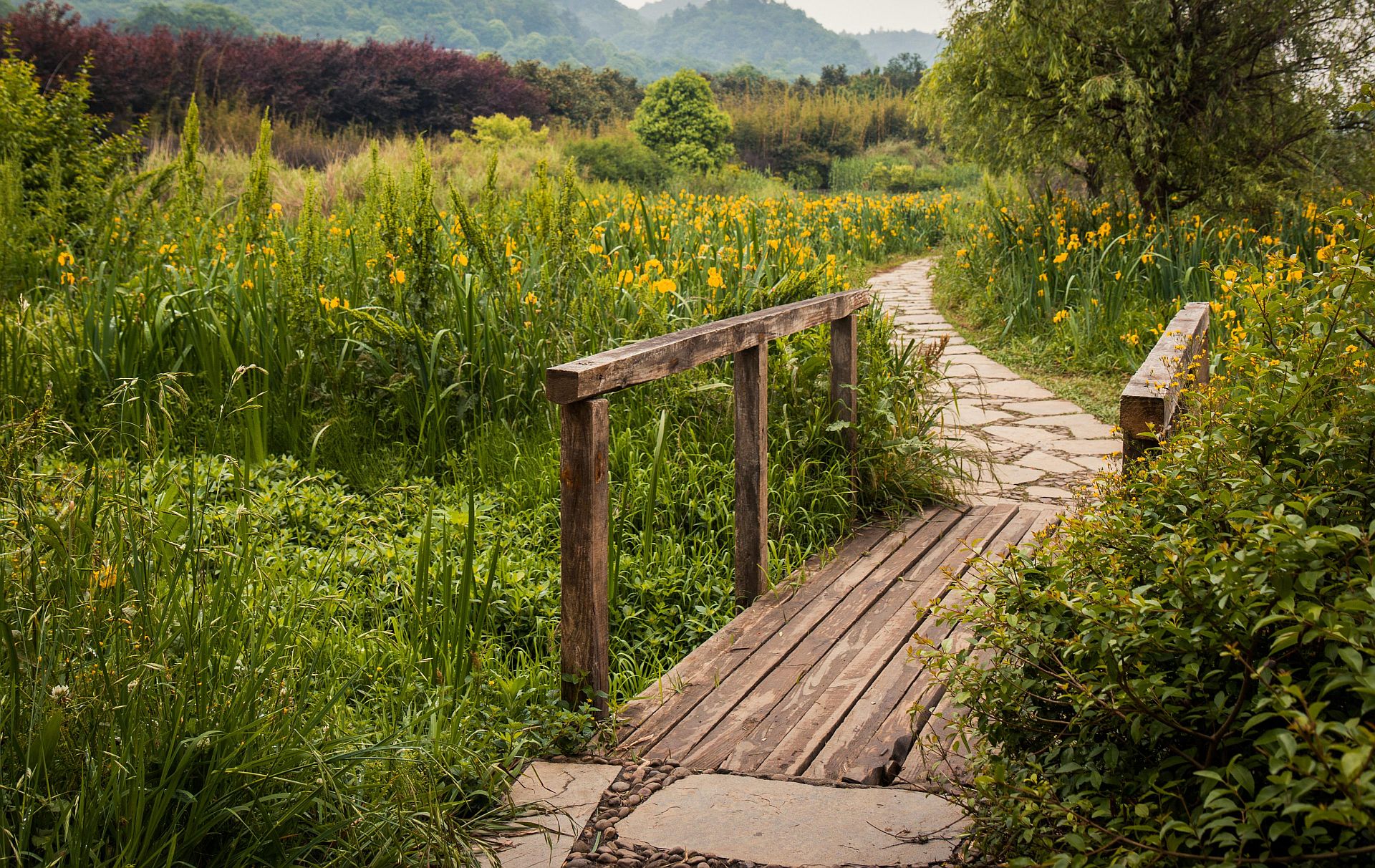 Foto: Brücke im Frühling